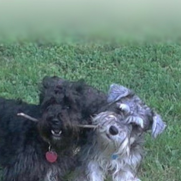 Meet your Posher, MaryJo - Picture 8 of 16